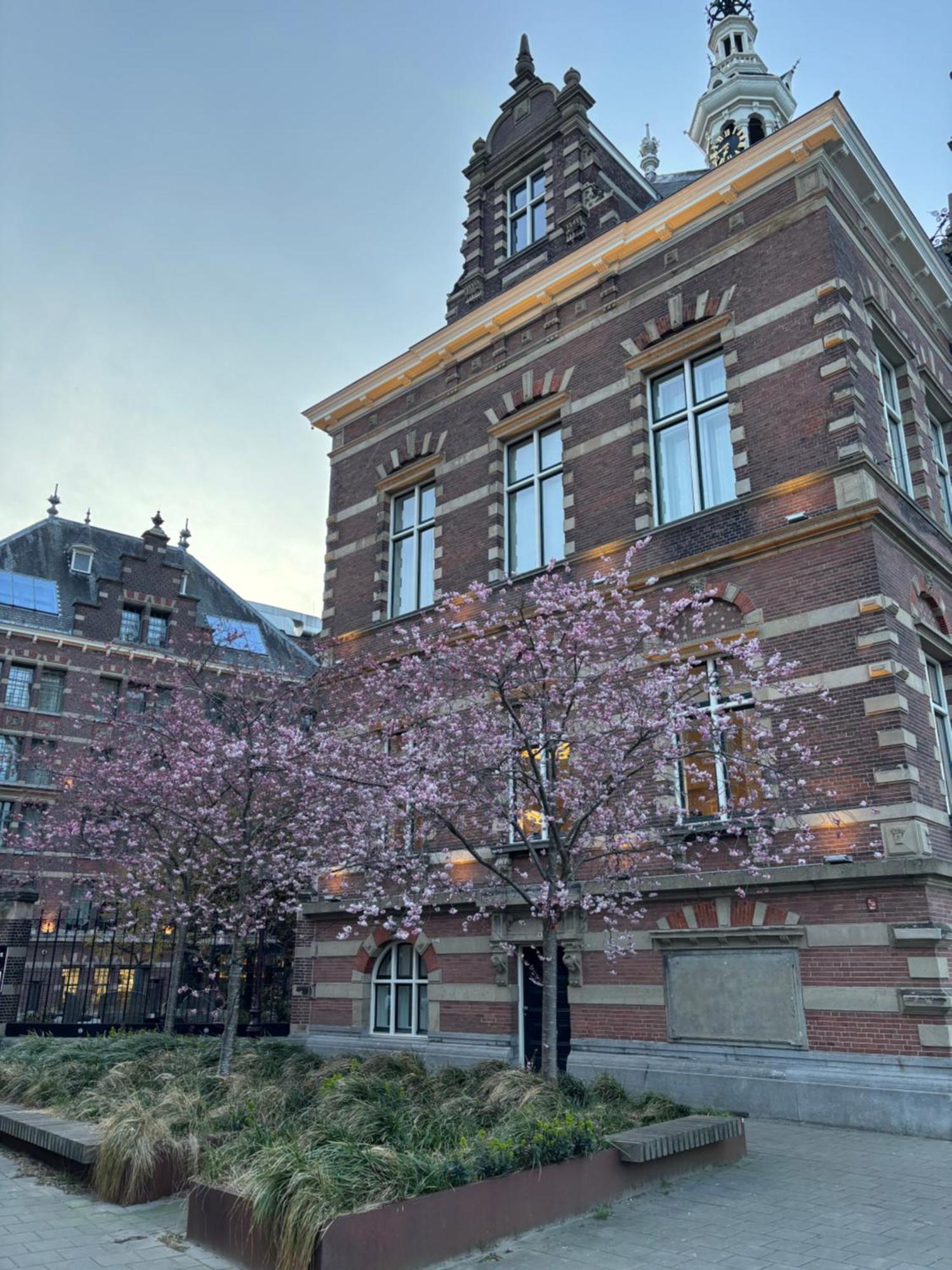 Lovely Small Apartment In 'De Pijp' Ámsterdam Exterior foto